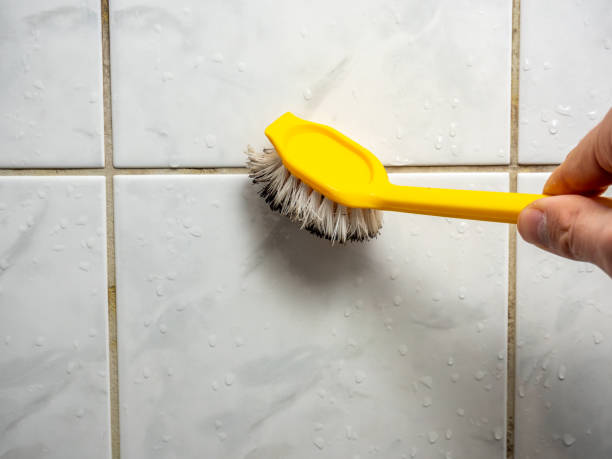 Best Mold Cleaning Services  in Desert Aire, WA