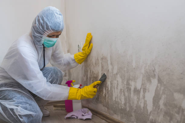 Best Mold Testing  in Desert Aire, WA