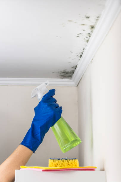 Best Residential Mold Removal  in Desert Aire, WA