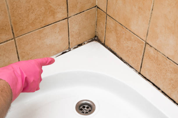 Best Attic Mold Removal  in Desert Aire, WA